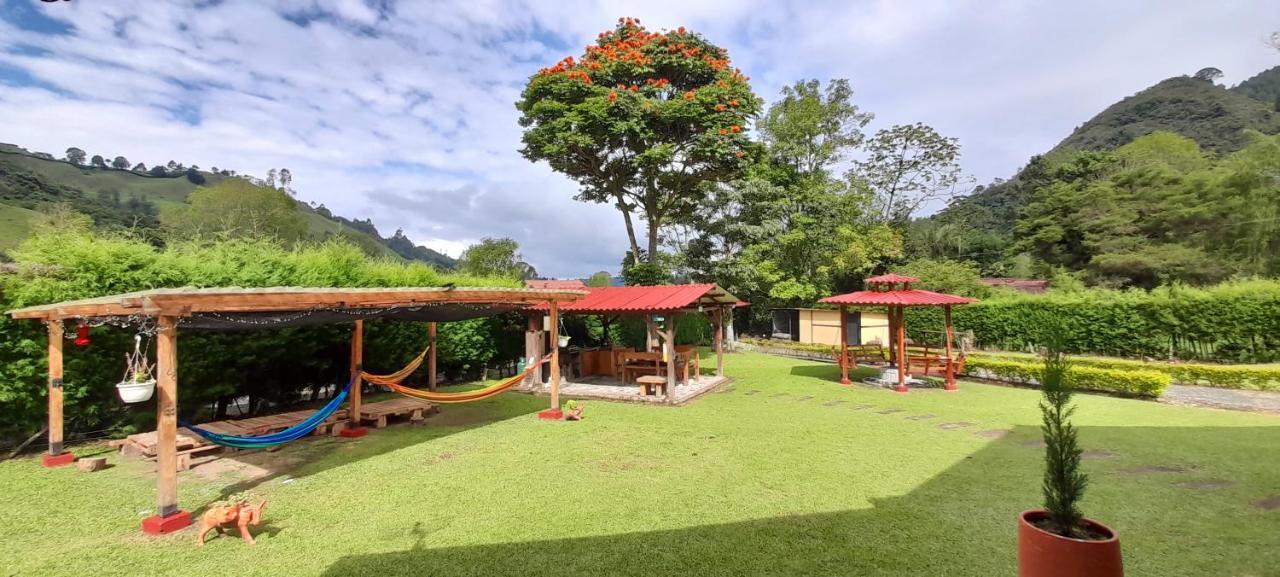 Valle De Cocora