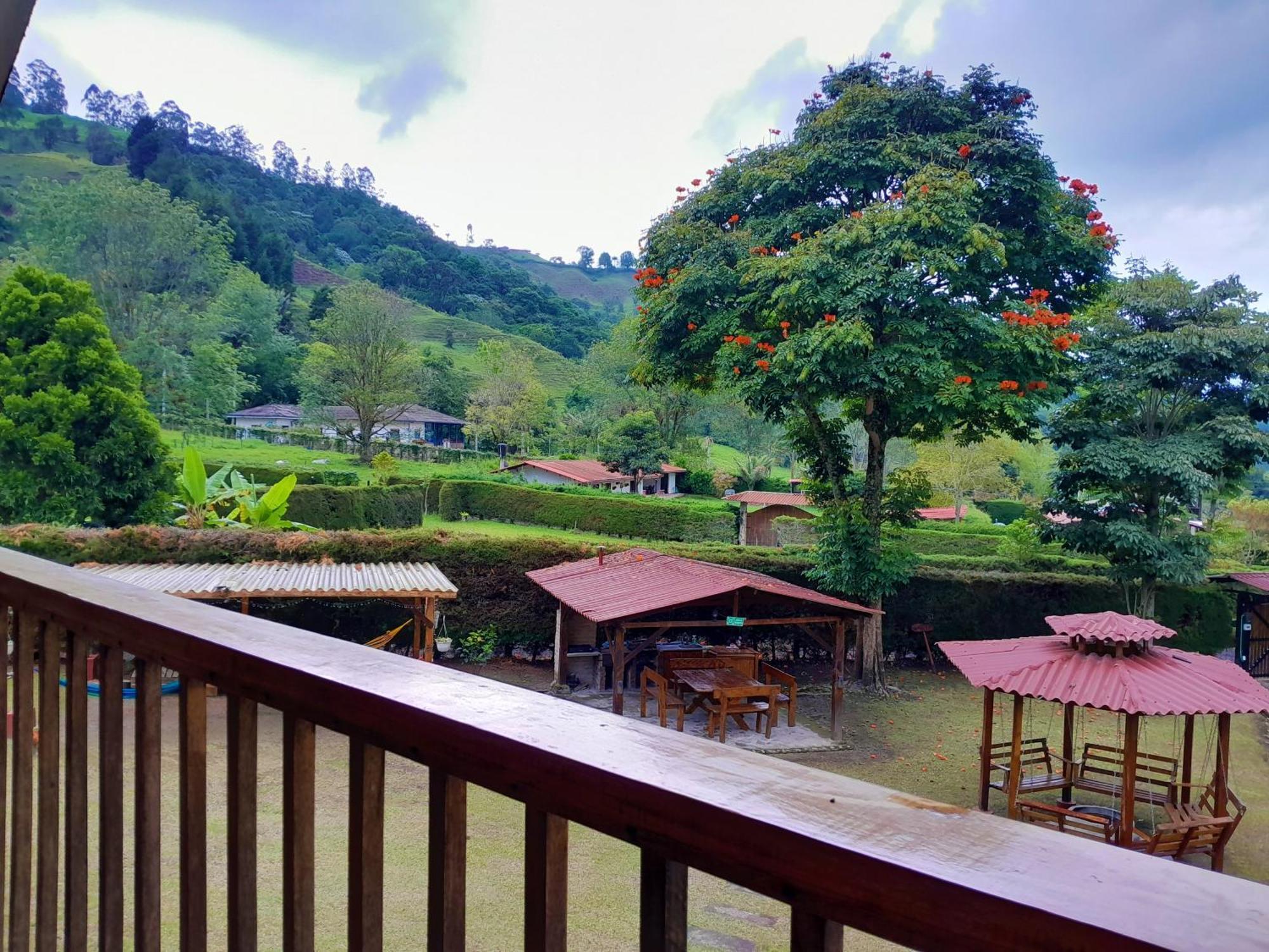 Valle De Cocora *