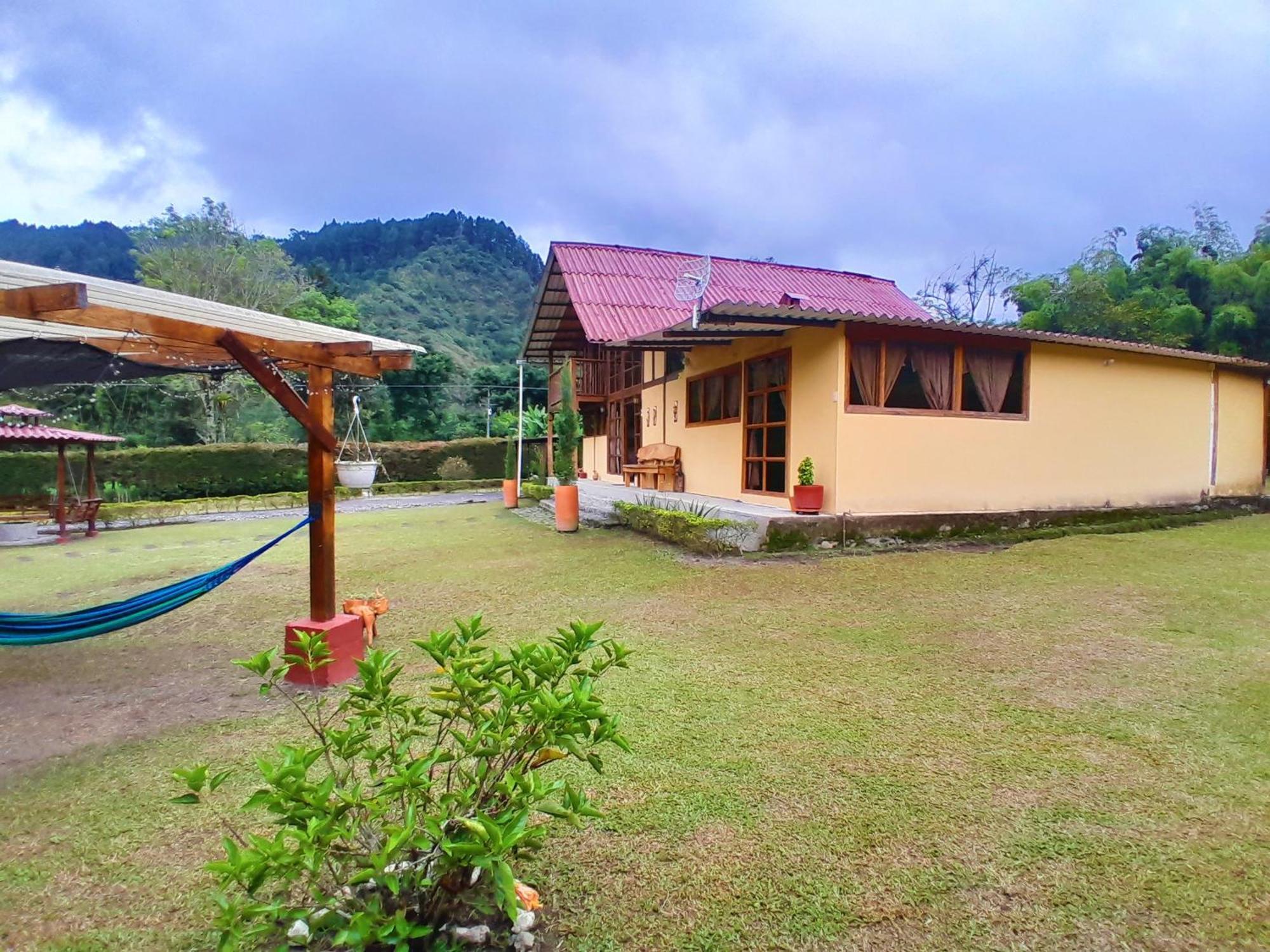 Valle De Cocora * Salento