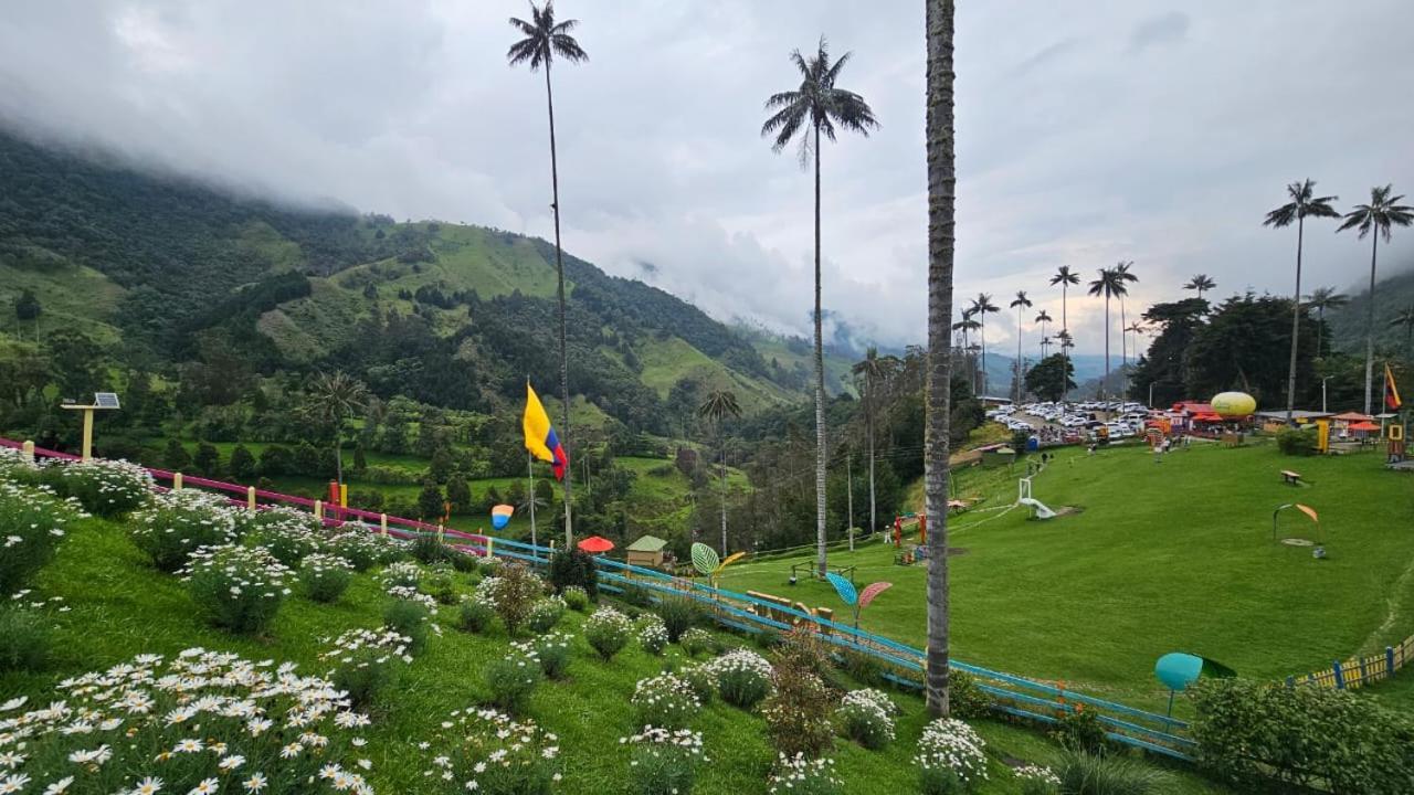 Valle De Cocora Salento